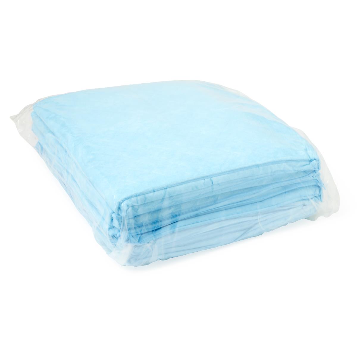 Protection Plus Underpad, Light Absorbency, 23" x 36", Blue, Quilted, Inner Packs of 25/Bag