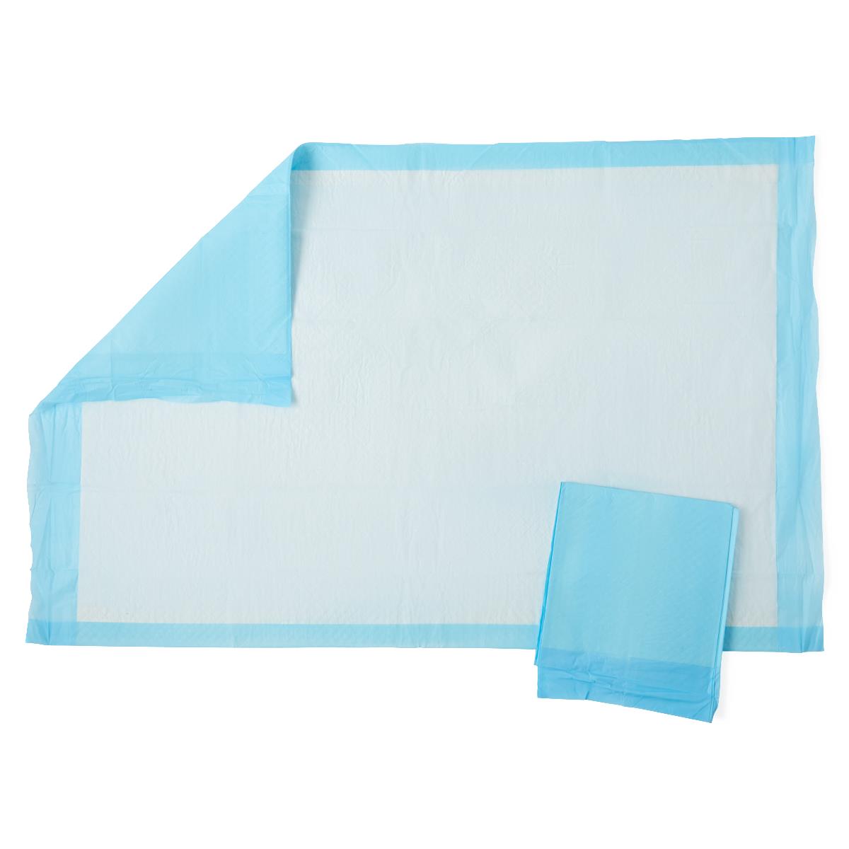 Protection Plus Underpad, Light Absorbency, 23" x 36", Blue, Quilted, Inner Packs of 25/Bag