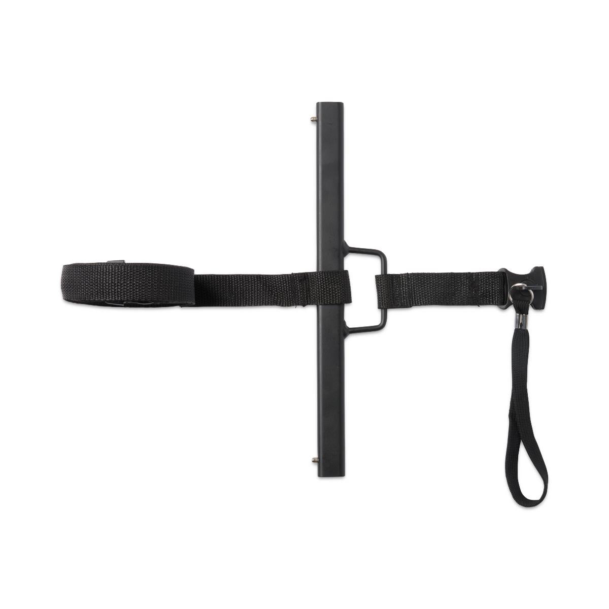 Bed Assist Bar